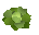 Cabbage