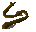 Cave eel
