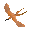 Copper longtail