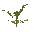Fern