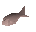Herring