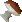 Mort myre fungus