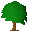 Oak tree