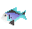 Raw rainbow fish