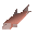 Raw salmon