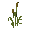Reeds