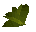 Snapdragon