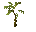Tall plant