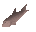 Trout
