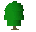 Willow tree