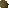 Yew seed