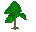 Yew tree