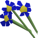 Blue flowers