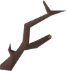 Ent branch