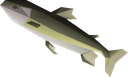 Leaping trout