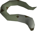 Mottled eel