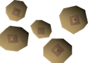 Teak seed