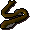 Cave eel