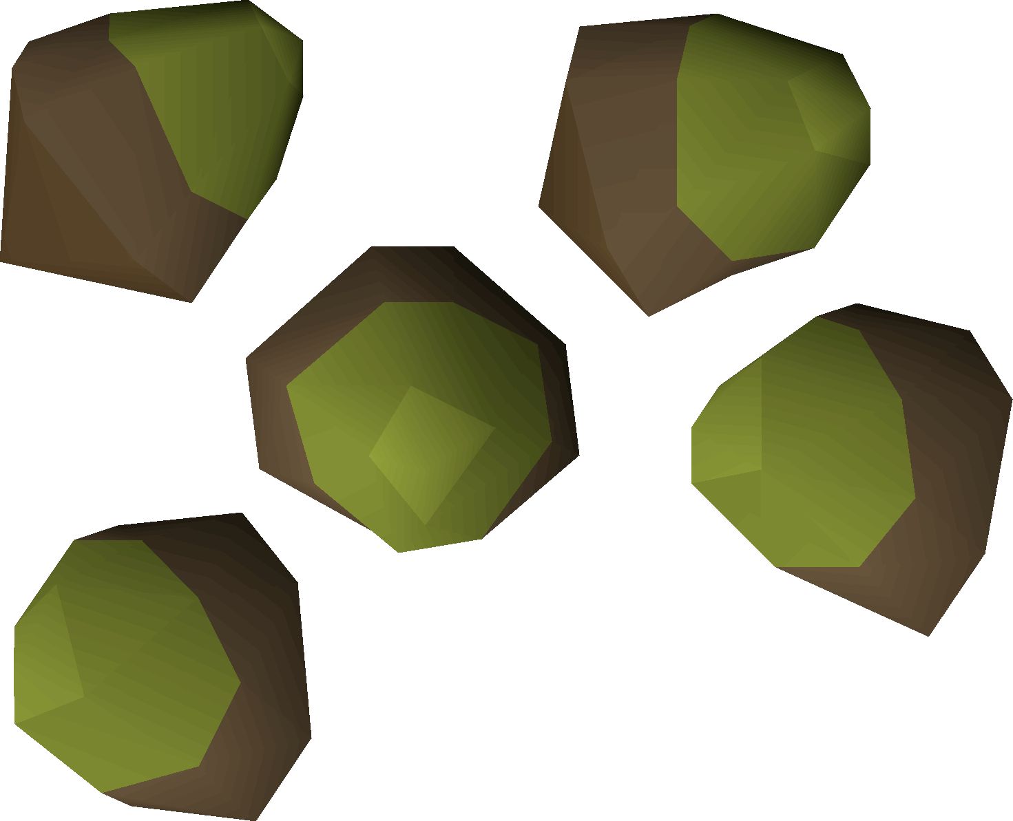 Acorn