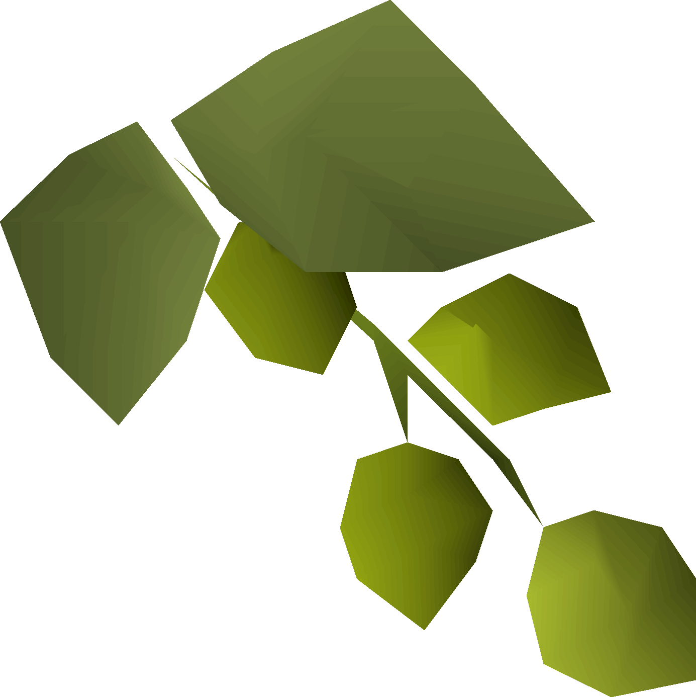 Asgarnian hops
