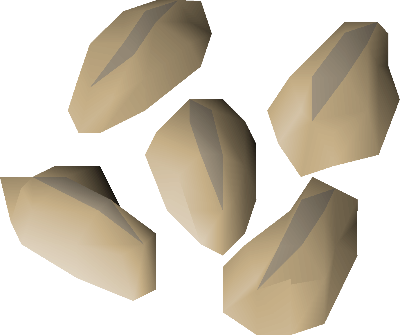 Barley seed