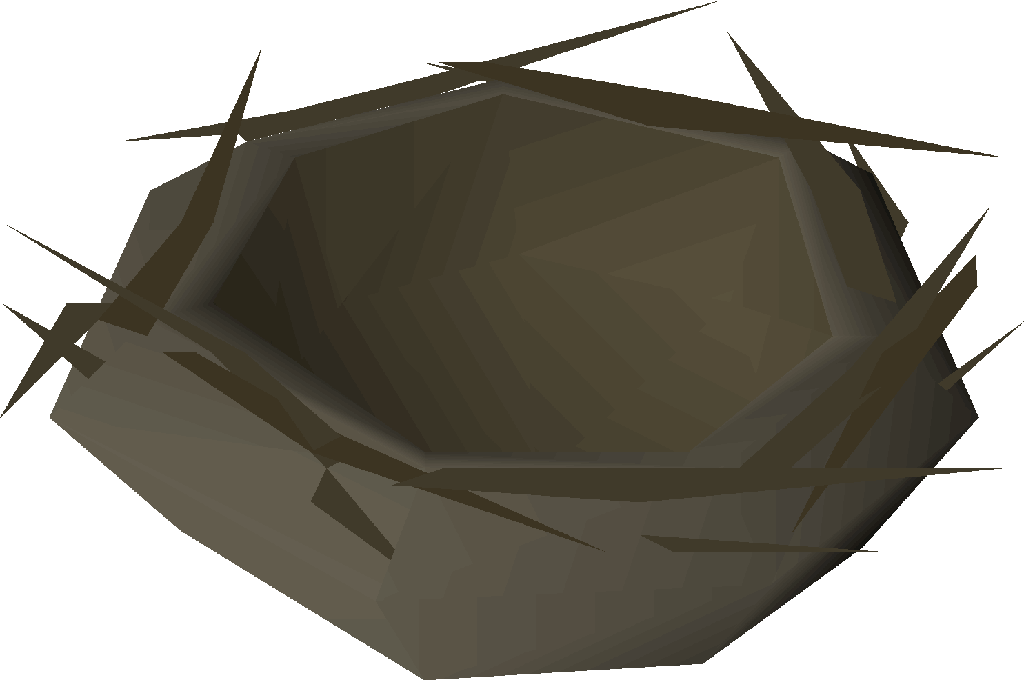 Bird nest