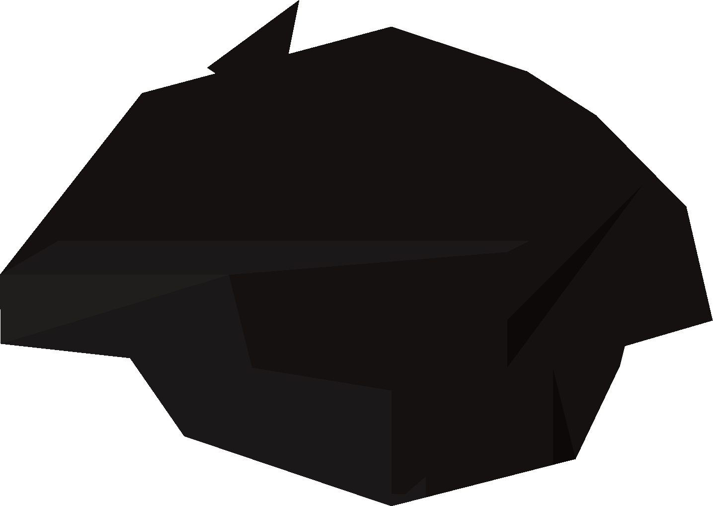 Black beret