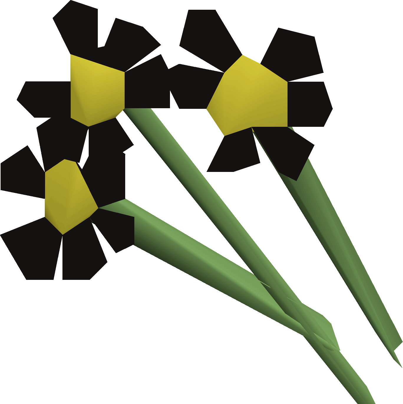 Black flowers