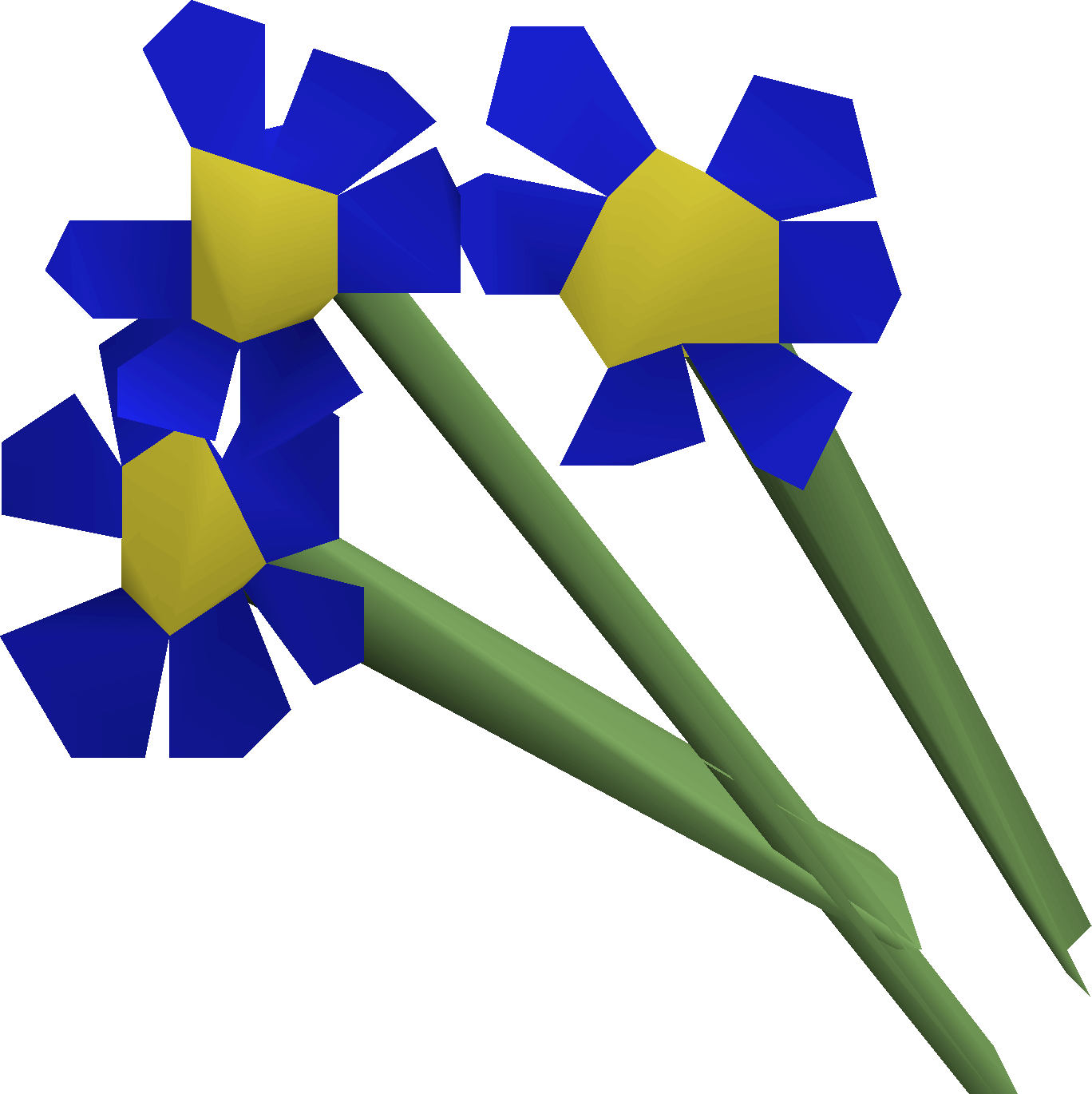 Blue flowers