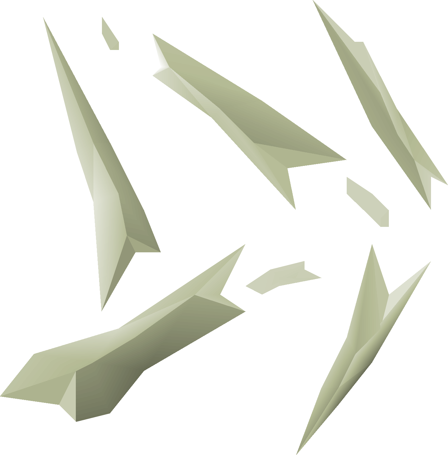 Bone fragments