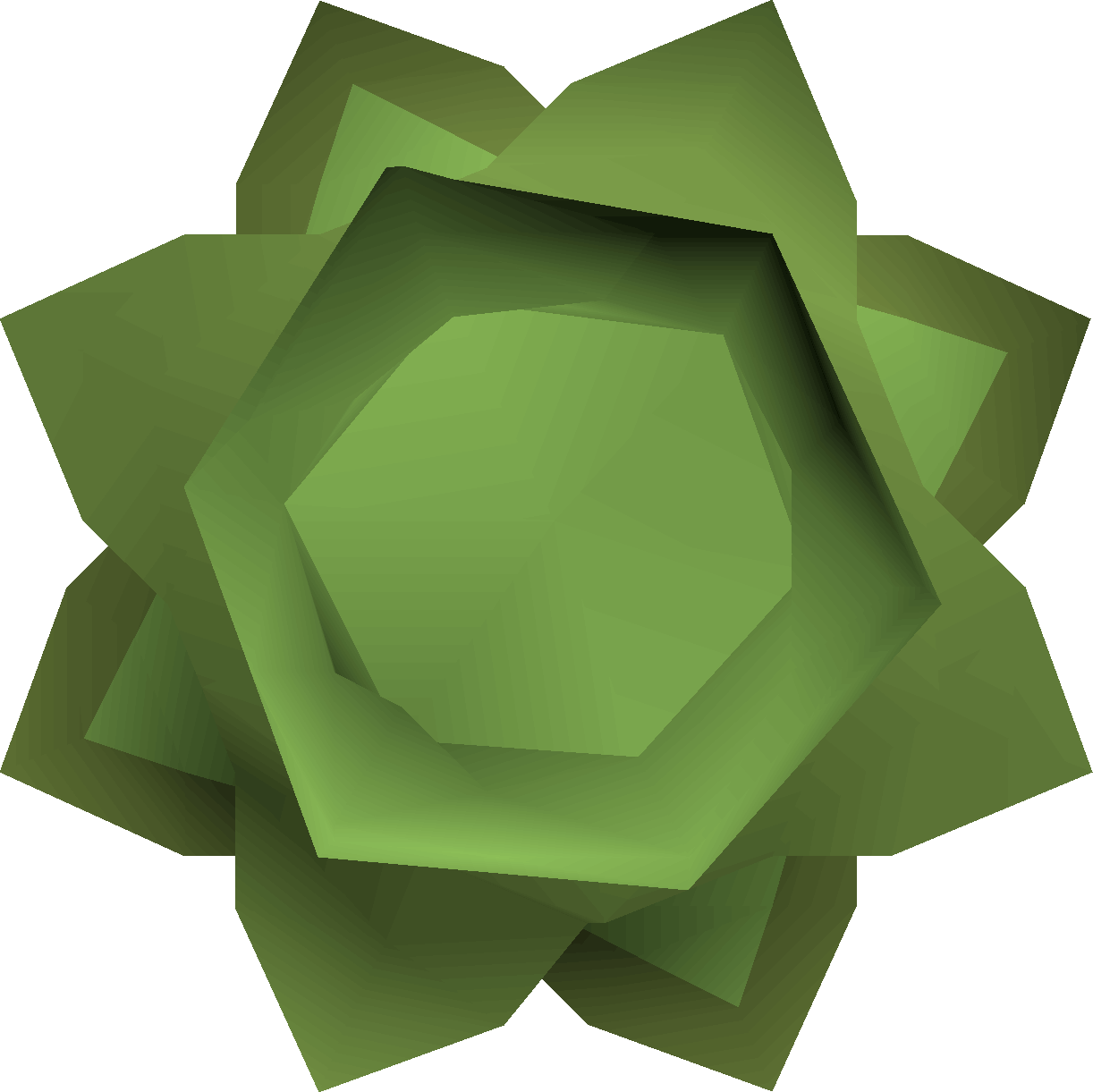 Cabbage round shield