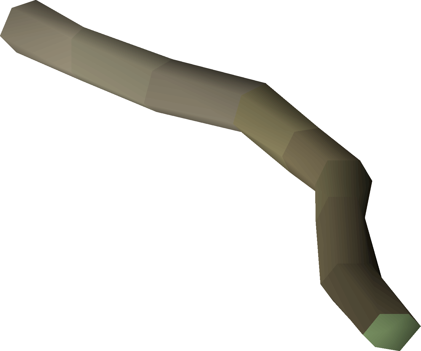 Celastrus bark