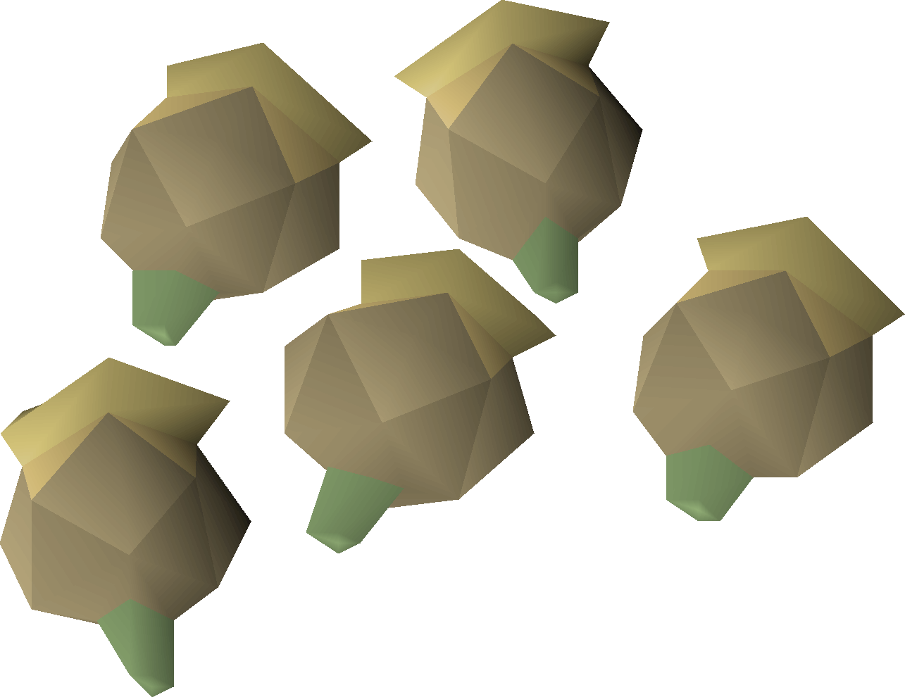 Celastrus seed