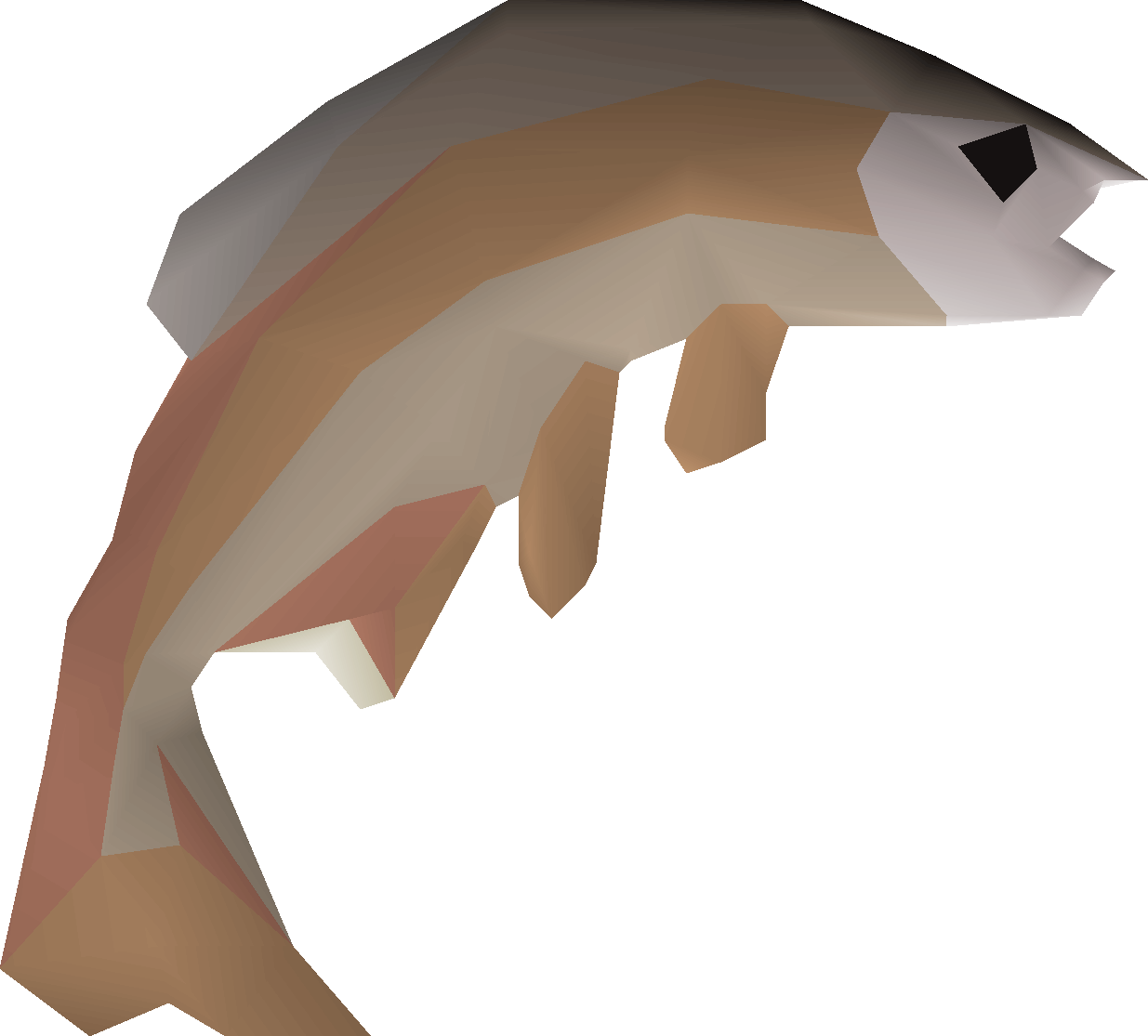 Common tench