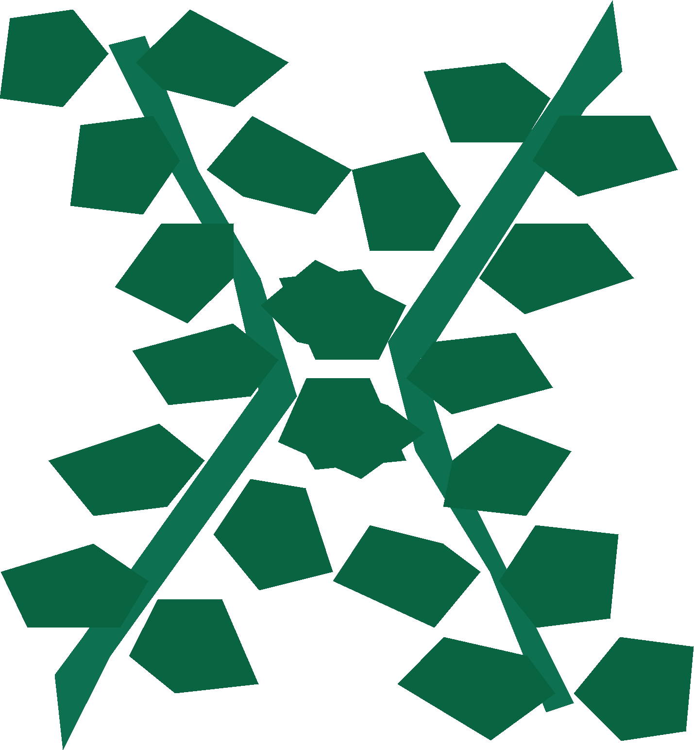 Giant seaweed
