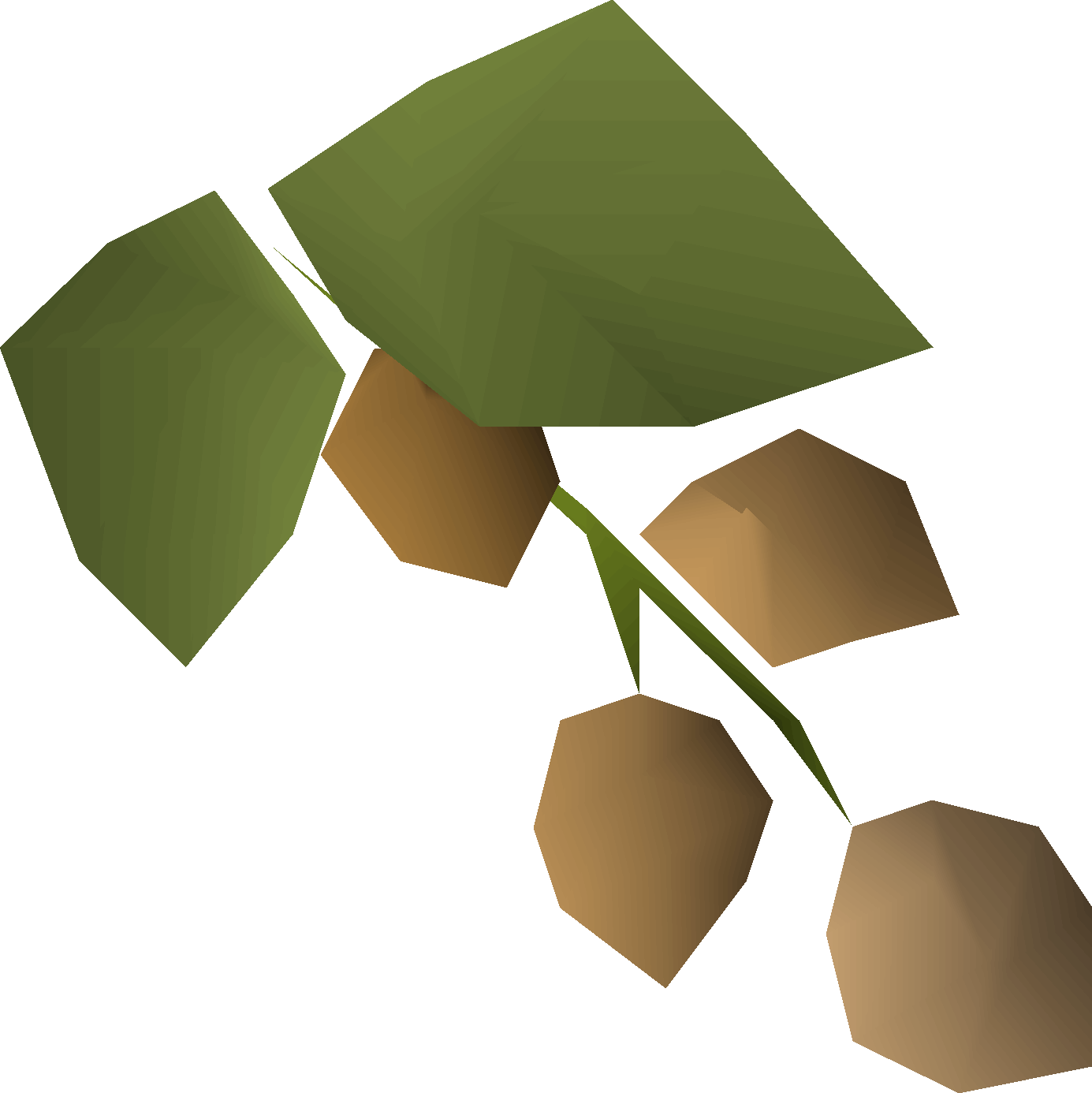 Krandorian hops