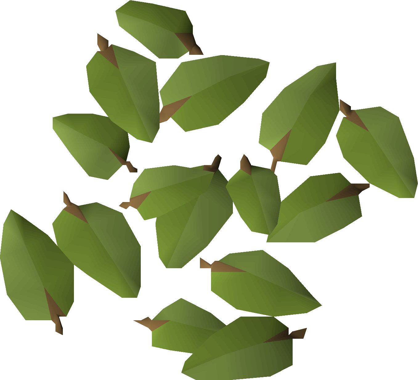 Leaves
