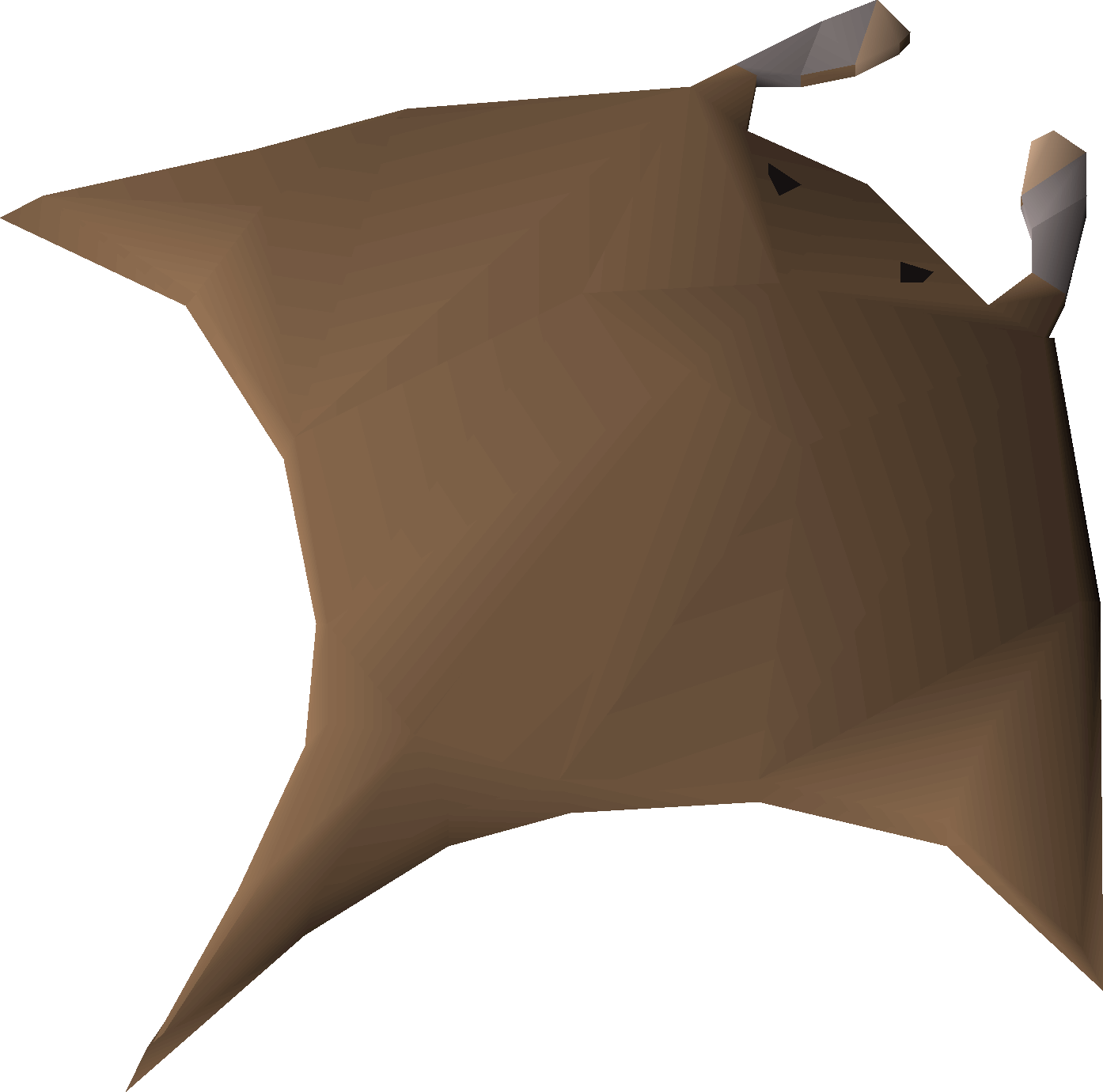 Manta ray