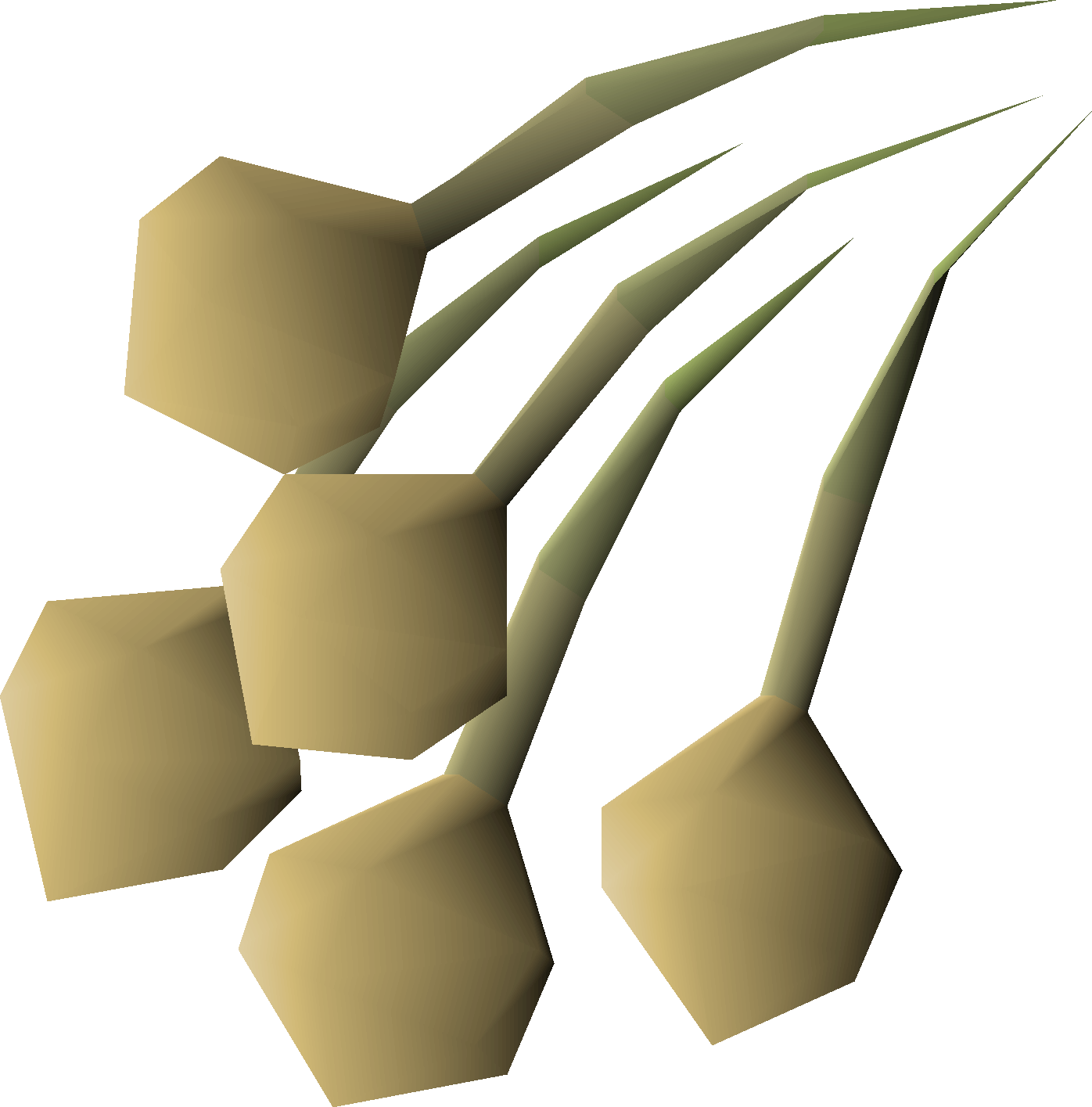 Onion seed