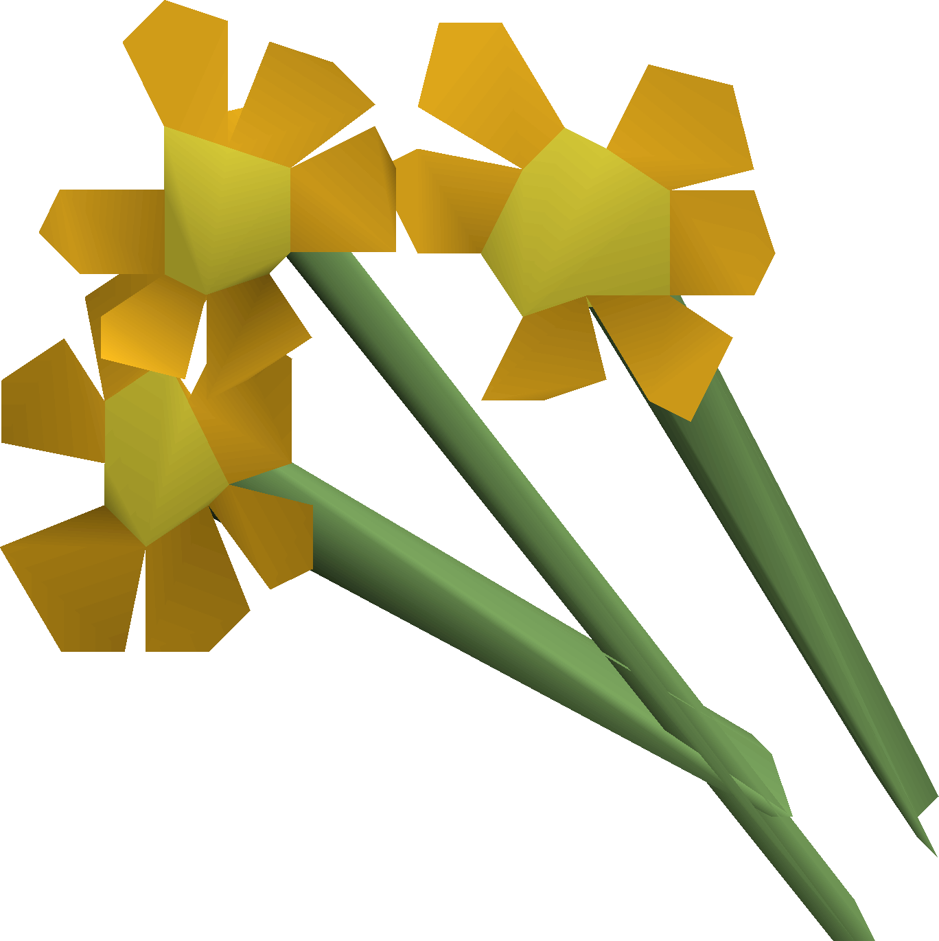 Orange flowers