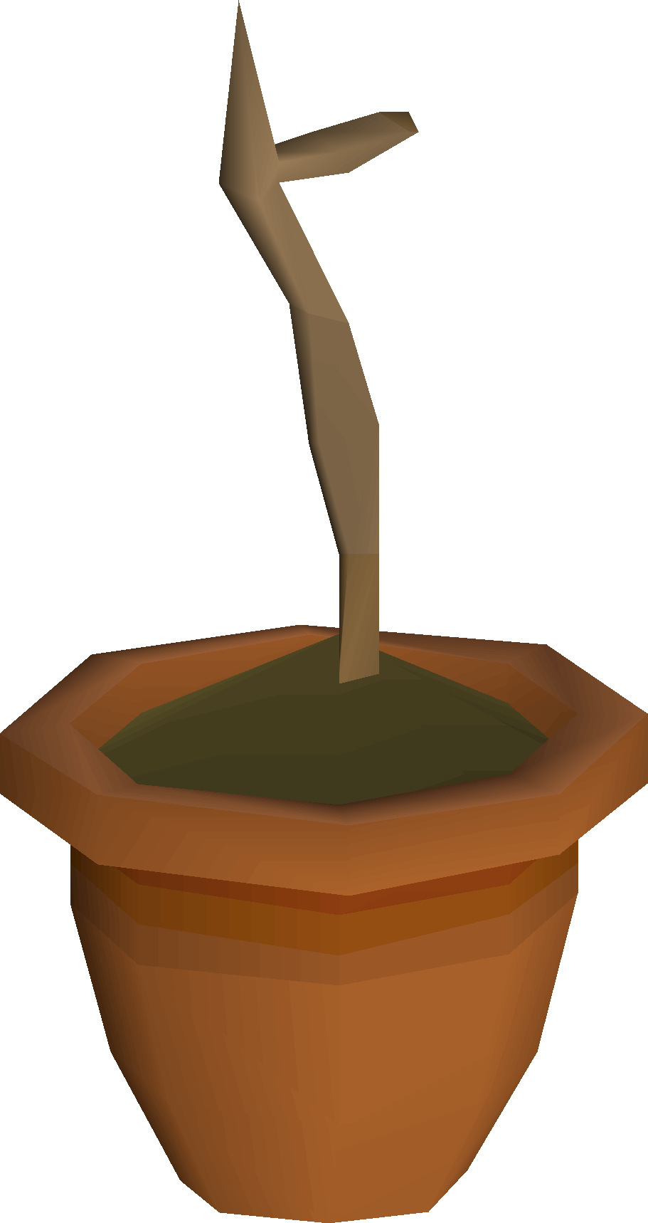 Orange sapling