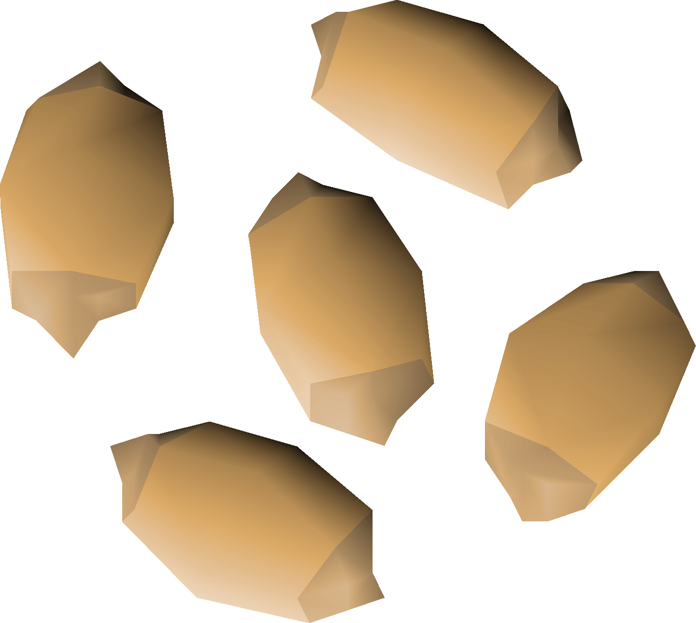 Palm tree seed