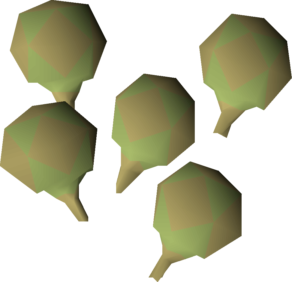 Potato cactus seed