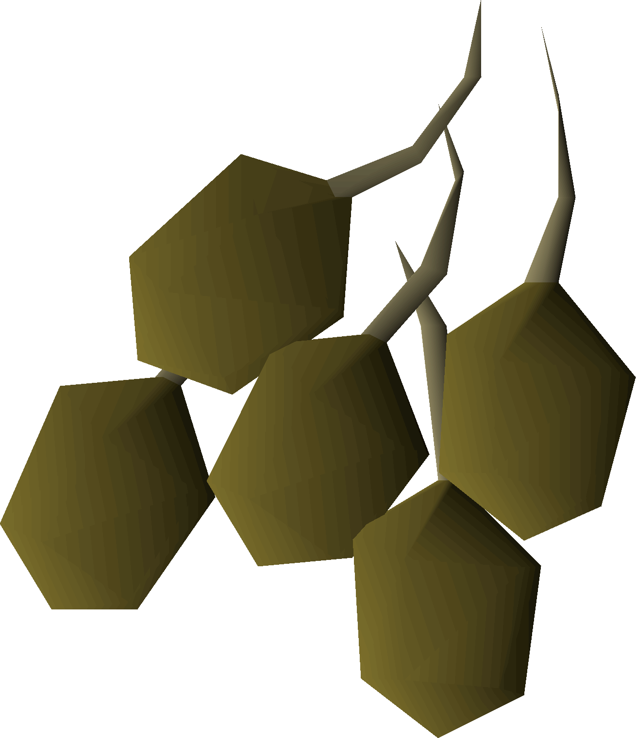 Potato seed