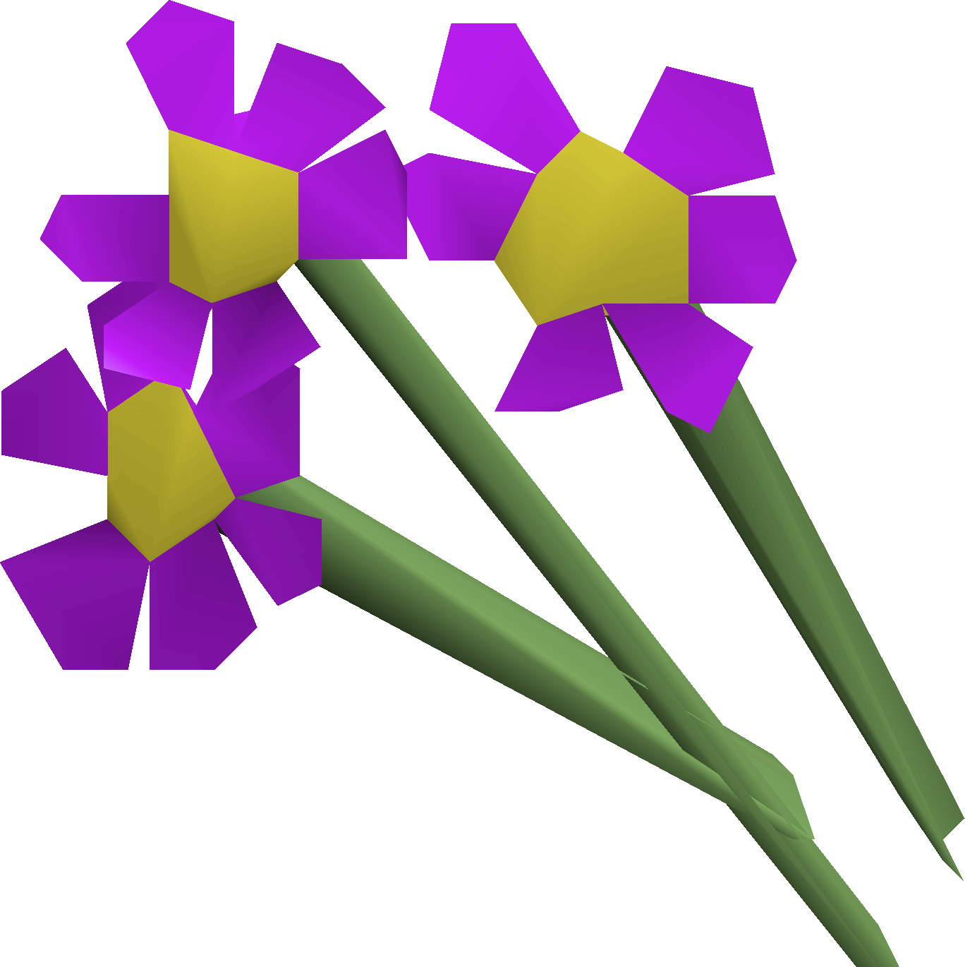 Purple flowers