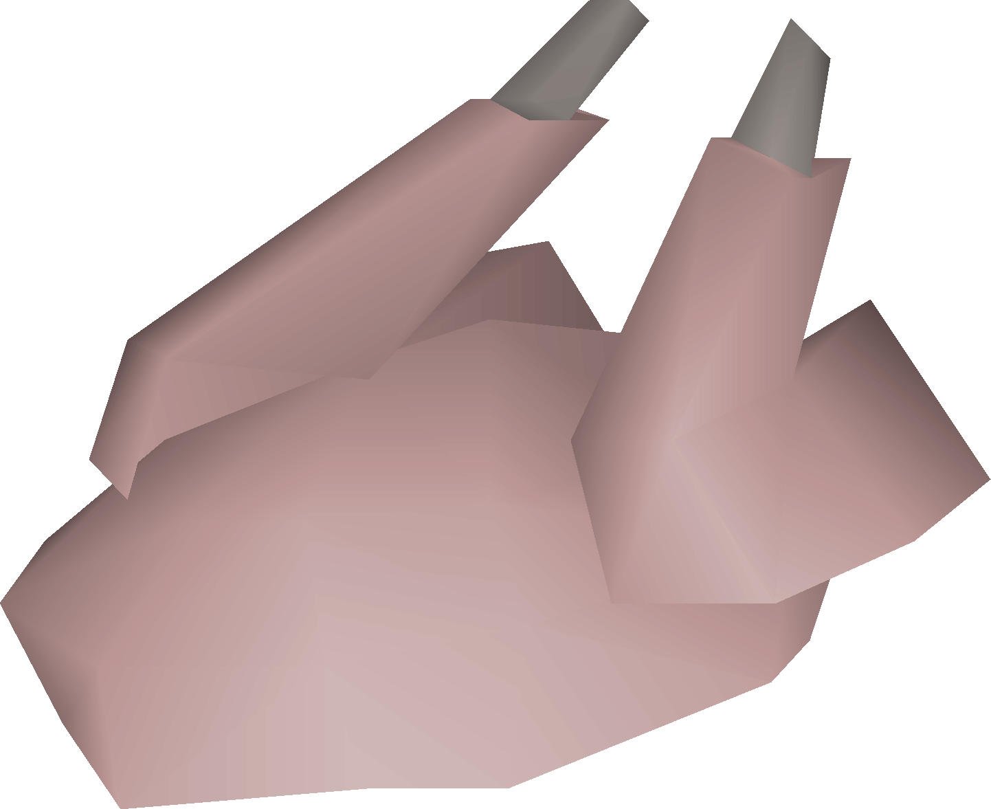 Raw chicken