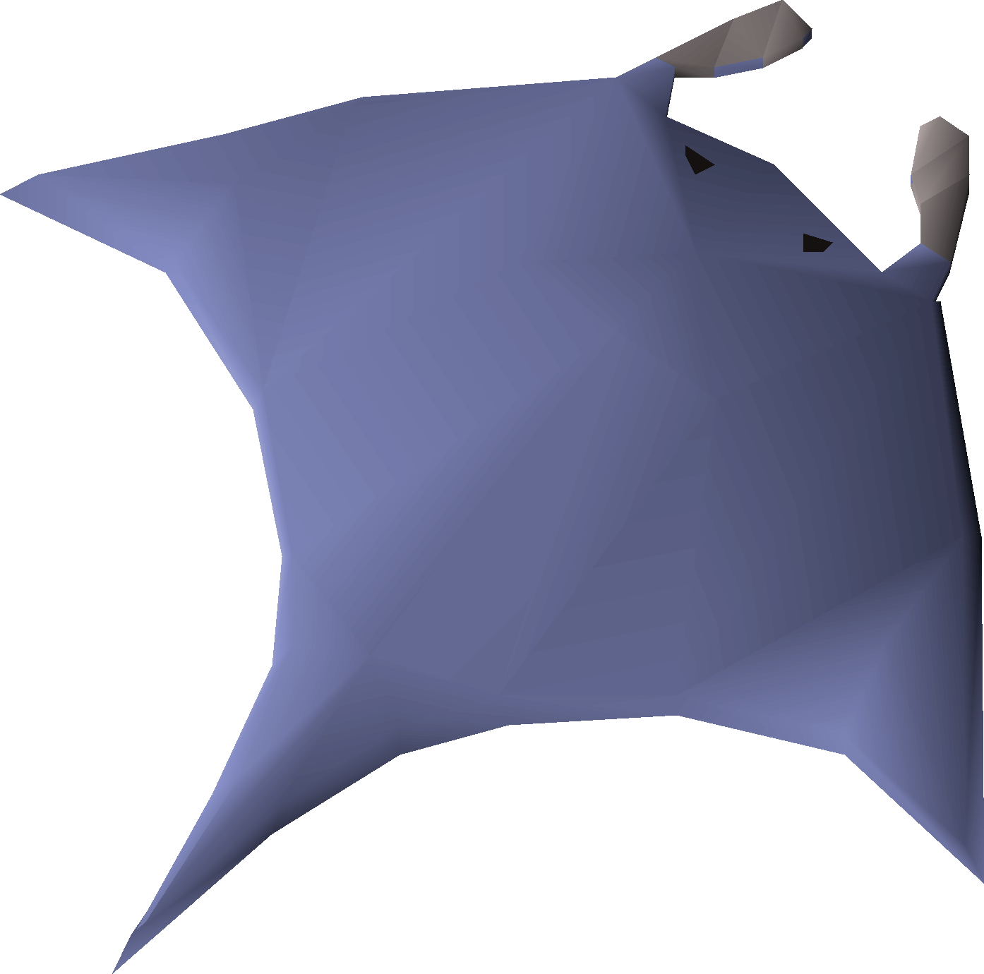 Raw manta ray