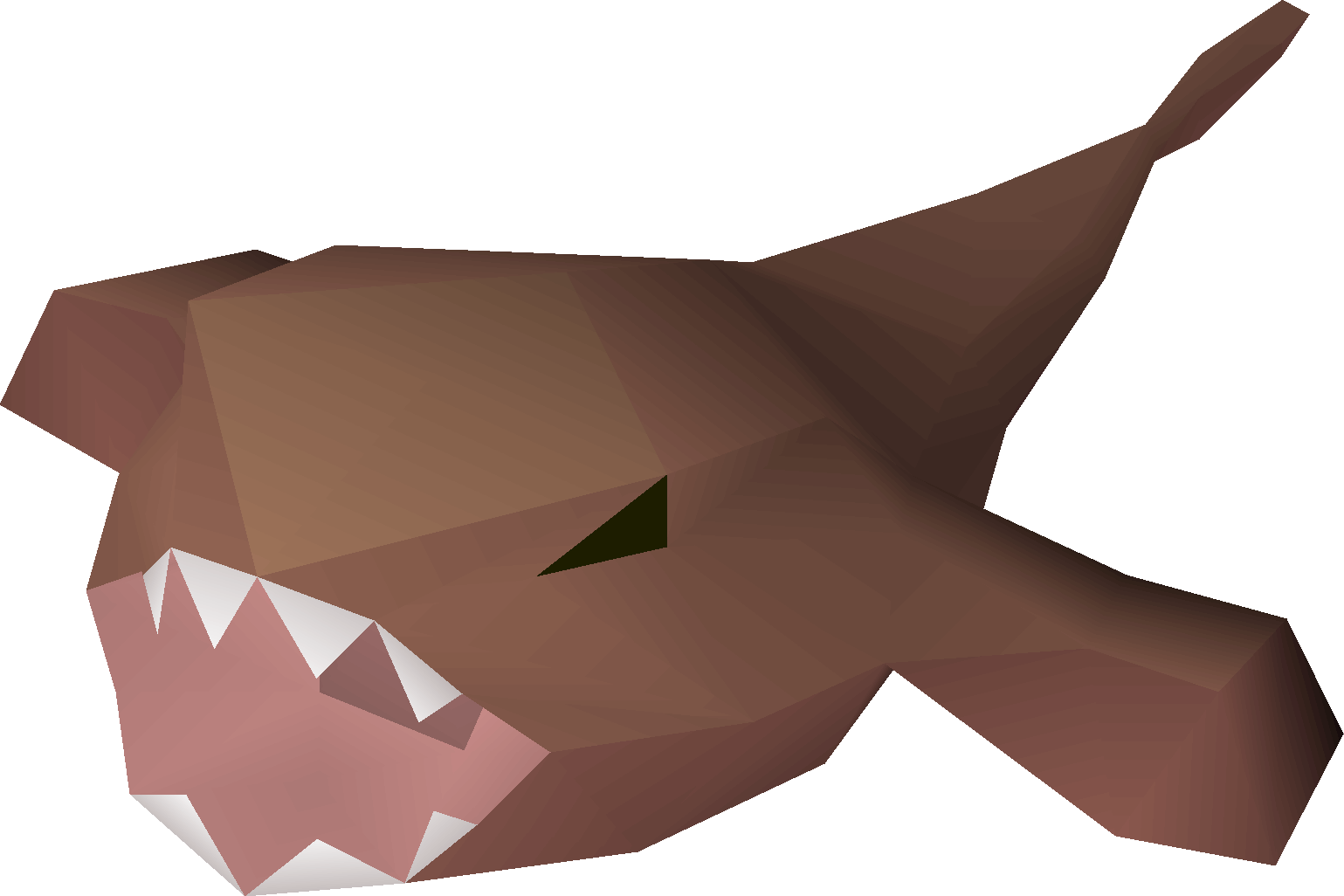 Raw monkfish