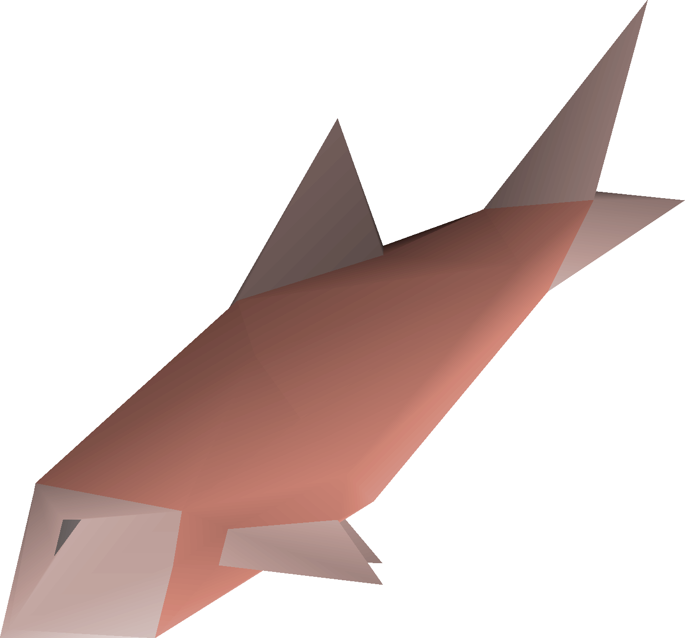 Raw salmon