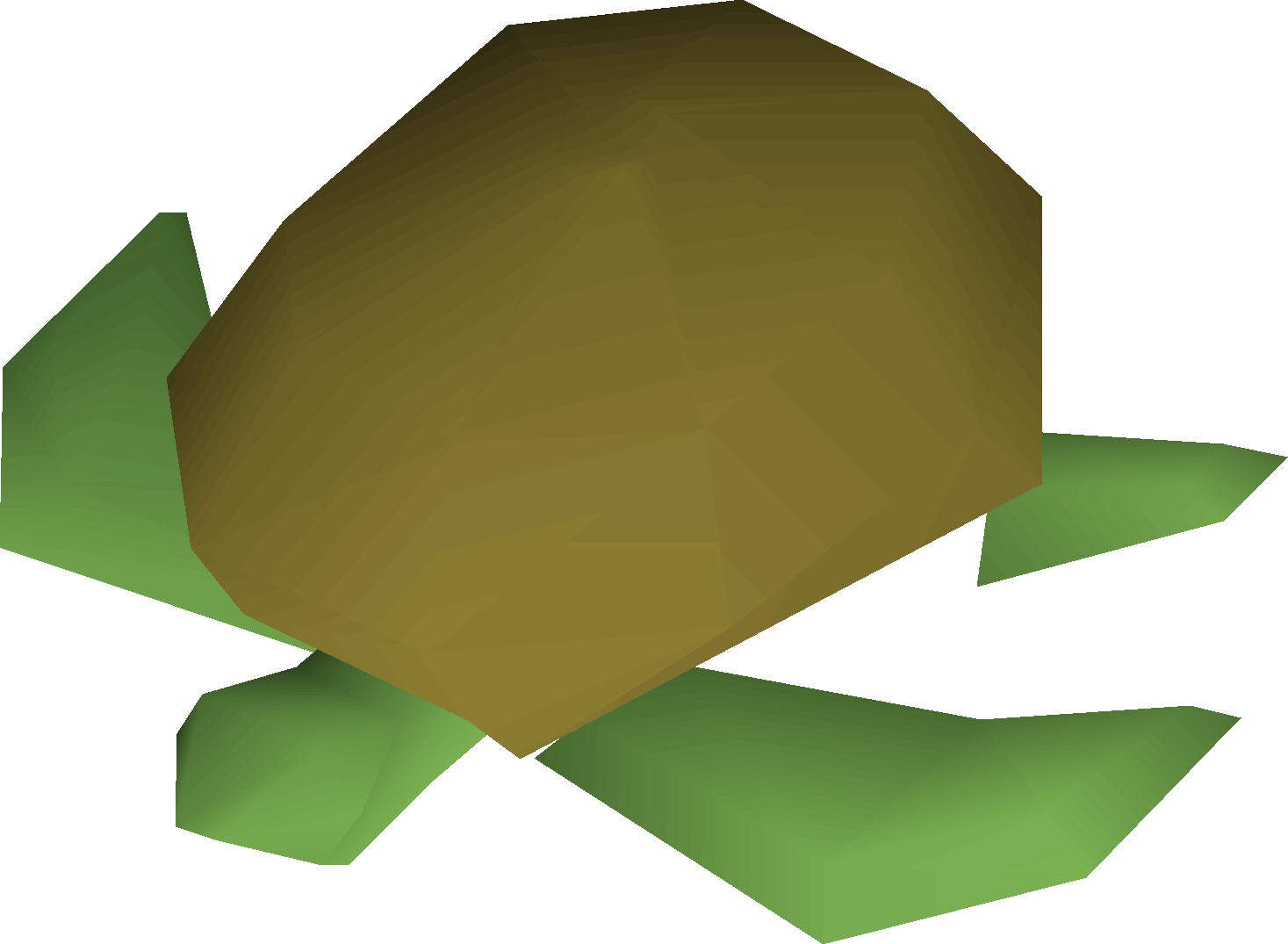 Raw sea turtle